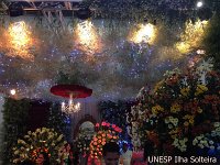 frutal_set_2015 (5).JPG